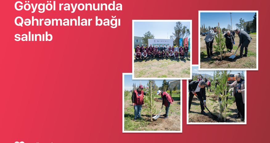 “Qəhrəmanlar bağı” initiative implemented in Goygol “Qəhrəmanlar bağı” initiative implemented in Goygol