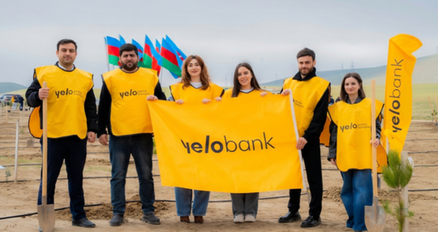Yelo Bank поддерживает цель в 1 000 000 деревьев! Yelo Bank поддерживает цель в 1 000 000 деревьев!