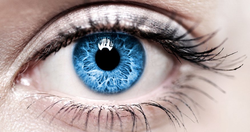 Azerbaijan opens first eye bank to support corneal transplants Azerbaijan opens first eye bank to support corneal transplants