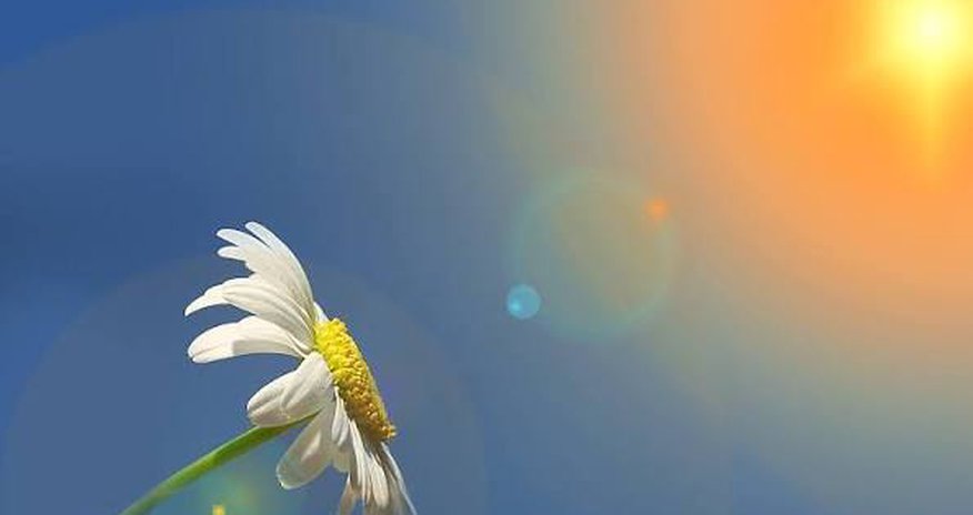 Apreldə Bakı və Abşeronda temperatur 21 gün normadan yuxarı olub - RƏSMİ Apreldə Bakı və Abşeronda temperatur 21 gün normadan yuxarı olub - RƏSMİ