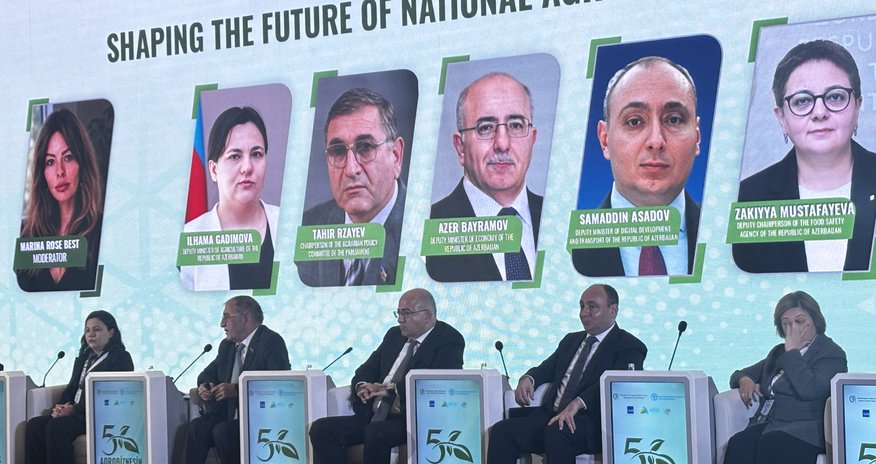 Deputat: Bu il planlaşdırma olmadığından soğan və kartofun qiyməti ucuz olub Deputat: Bu il planlaşdırma olmadığından soğan və kartofun qiyməti ucuz olub
