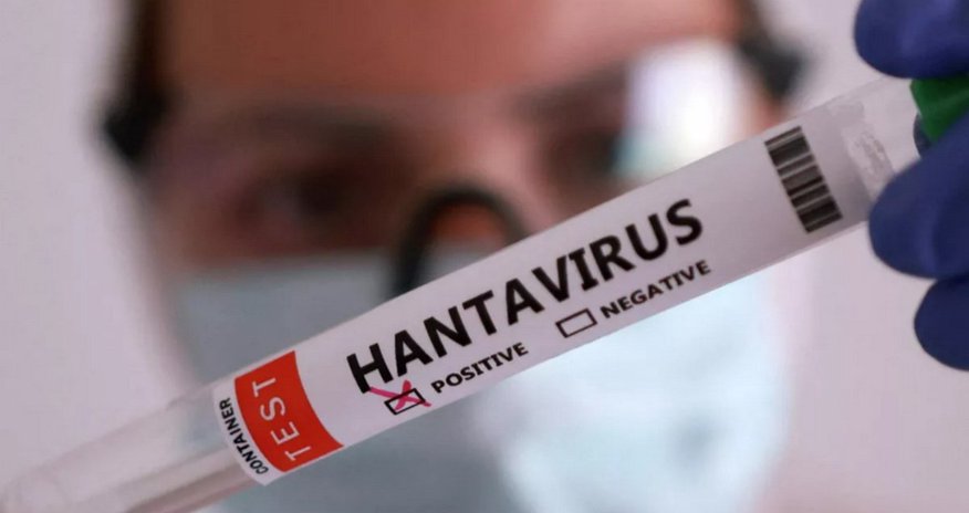 Первый случай хантавируса во Франции Первый случай хантавируса во Франции