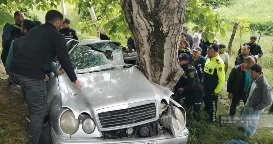 В Огузе автомобиль врезался в дерево, есть пострадавшие В Огузе автомобиль врезался в дерево, есть пострадавшие