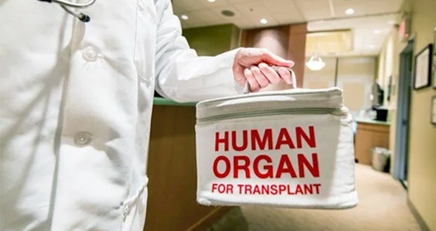 Kök hüceyrələrin transplantasiyasının say həddi 20-dən 50-yə qaldırılıb - qərar Kök hüceyrələrin transplantasiyasının say həddi 20-dən 50-yə qaldırılıb - qərar