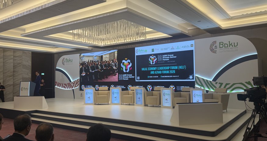 Azerbaijan can become regional SDG finance hub, UN official says Azerbaijan can become regional SDG finance hub, UN official says