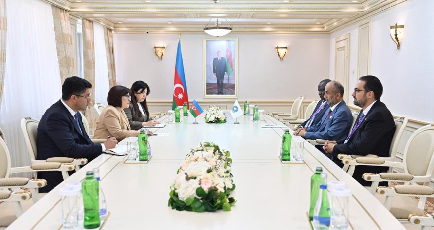 Sahibə Qafarova Qlobal Tolerantlıq və Sülh Şurasının sədri ilə görüşüb Sahibə Qafarova Qlobal Tolerantlıq və Sülh Şurasının sədri ilə görüşüb