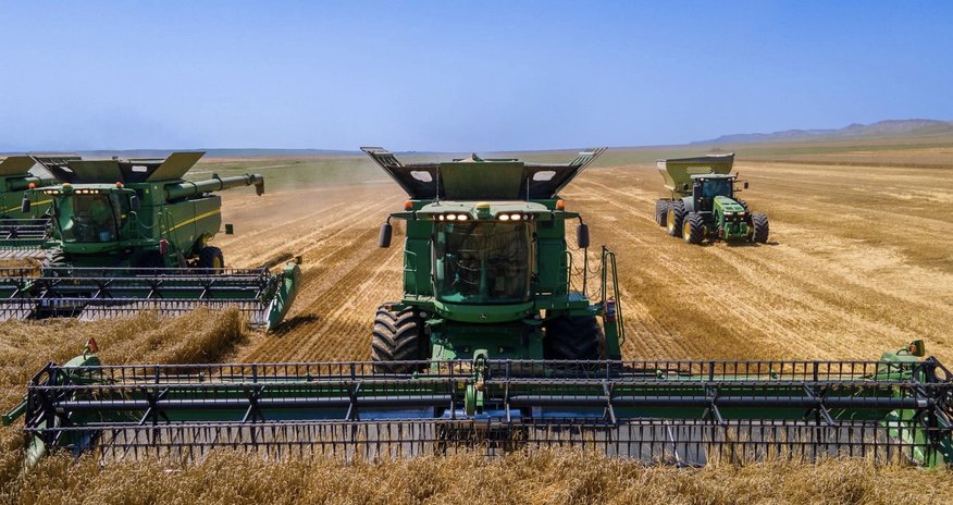 Azerbaijan sets wheat procurement price for 2026 Azerbaijan sets wheat procurement price for 2026