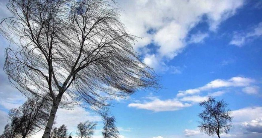 Küləkli hava ilə bağlı xəbərdarlıq edilib Küləkli hava ilə bağlı xəbərdarlıq edilib