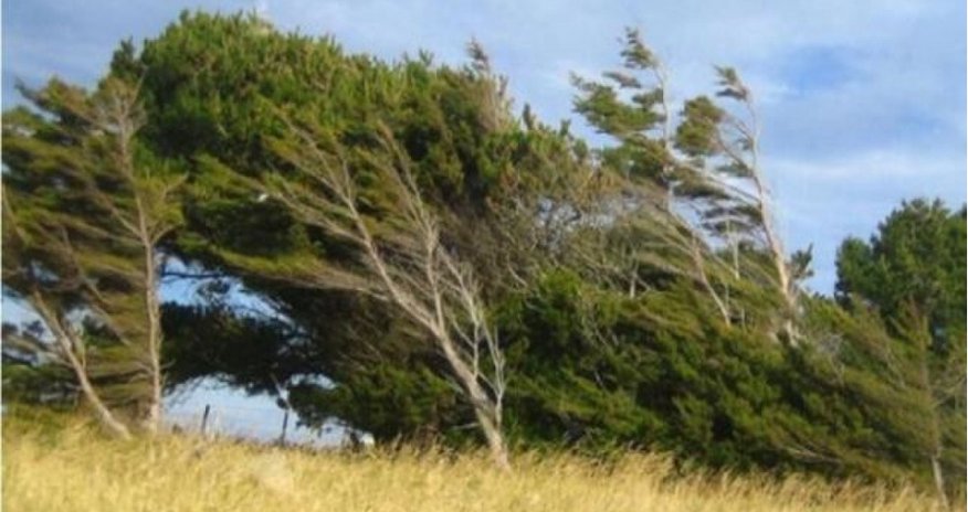 Küləkli hava şəraiti ilə bağlı sarı xəbərdarlıq verilib Küləkli hava şəraiti ilə bağlı sarı xəbərdarlıq verilib