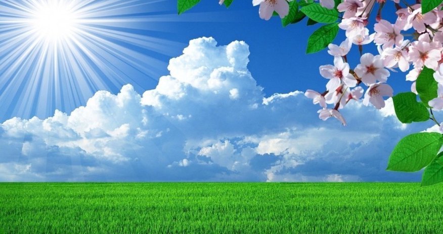 Temperatures in Azerbaijan to reach 39 C on July 24 Temperatures in Azerbaijan to reach 39 C on July 24