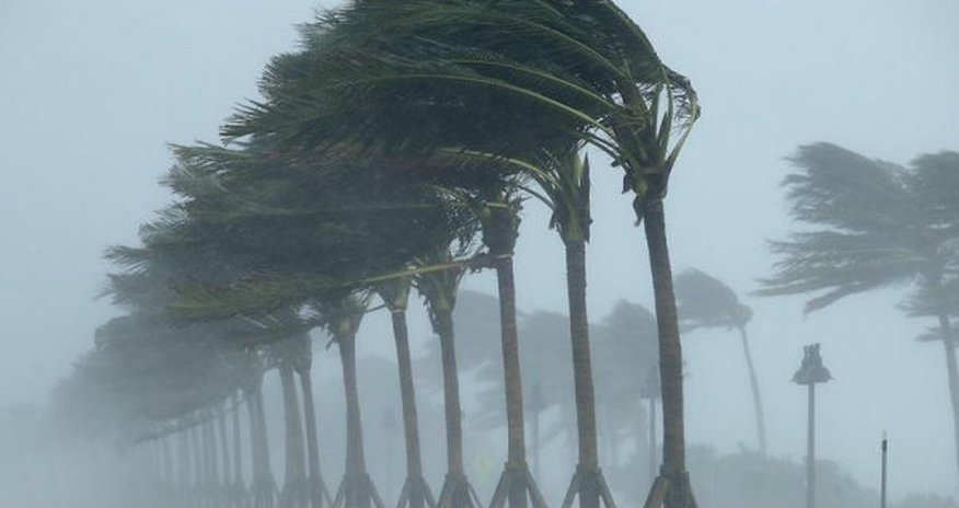 Strong northwesterly winds recorded in parts of Azerbaijan Strong northwesterly winds recorded in parts of Azerbaijan