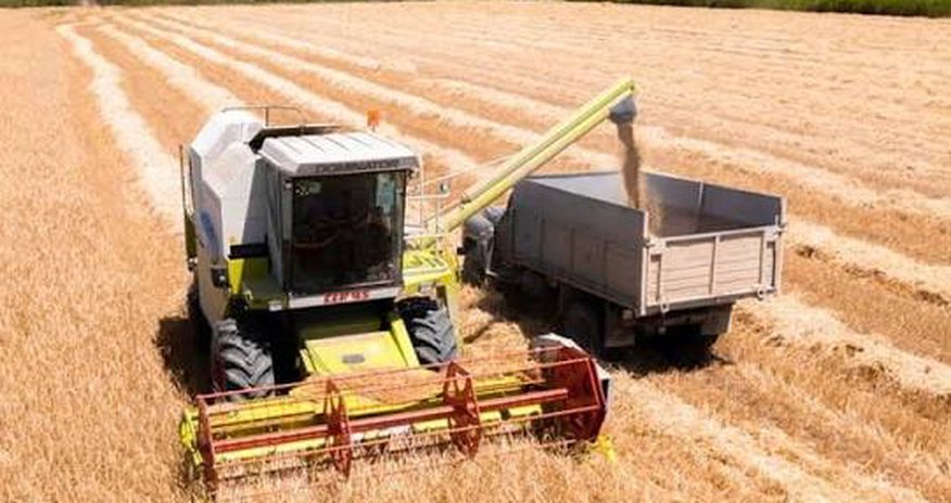 Azərbaycanda taxıl yığımında 6,2% artım olub Azərbaycanda taxıl yığımında 6,2% artım olub