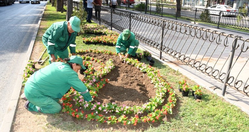 Bakıda genişmiqyaslı iməclik keçirilib Bakıda genişmiqyaslı iməclik keçirilib