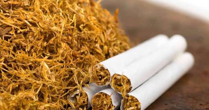Tütün məmulatlarının istehsalı 19%-ə yaxın artıb - rəsmi Tütün məmulatlarının istehsalı 19%-ə yaxın artıb - rəsmi