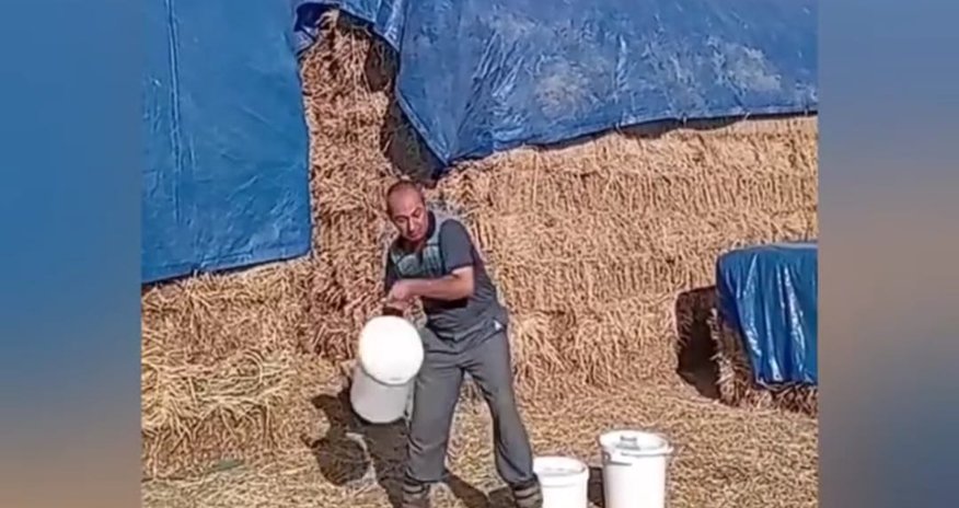 Fermer südünü yerə töküb nazirə səsləndi - video Fermer südünü yerə töküb nazirə səsləndi - video