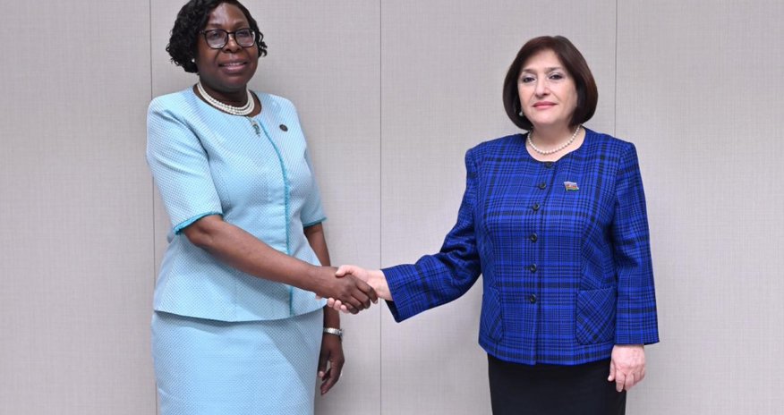 Milli Məclisin sədri Mozambikin Baş naziri ilə görüşüb Milli Məclisin sədri Mozambikin Baş naziri ilə görüşüb