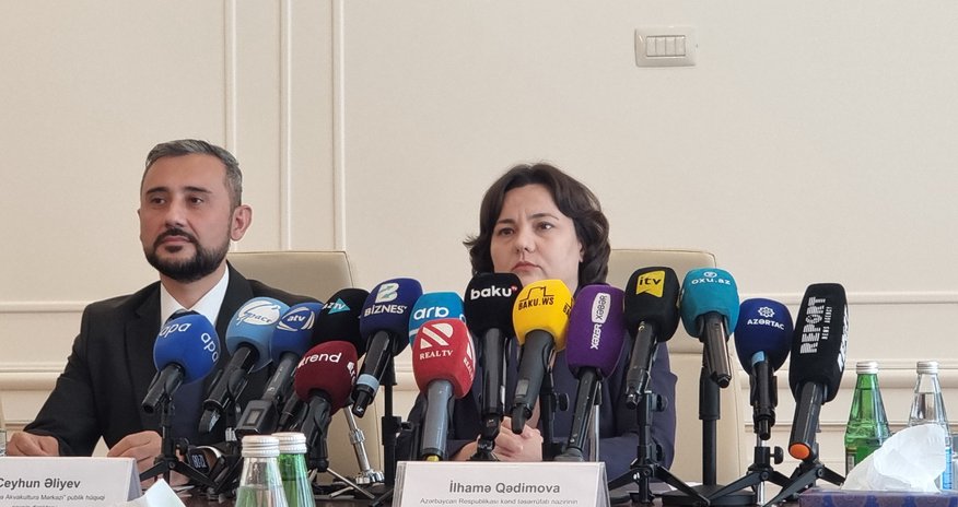 Azərbaycan balıq istehsalını və sertifikatlı toxumların payını artırmağı hədəfləyir – nazir müavini Azərbaycan balıq istehsalını və sertifikatlı toxumların payını artırmağı hədəfləyir – nazir müavini