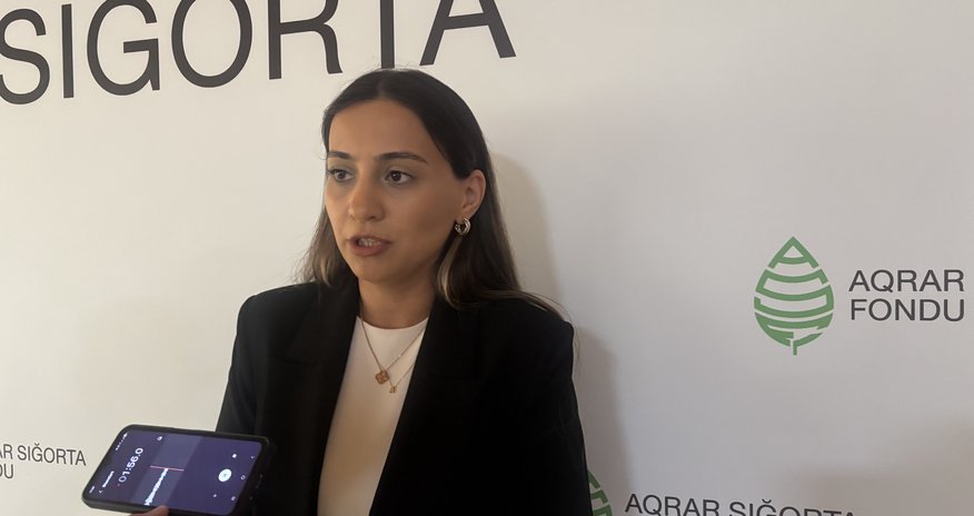İcbari sığorta tələbi 10 hektardan 7 hektara endirilib İcbari sığorta tələbi 10 hektardan 7 hektara endirilib