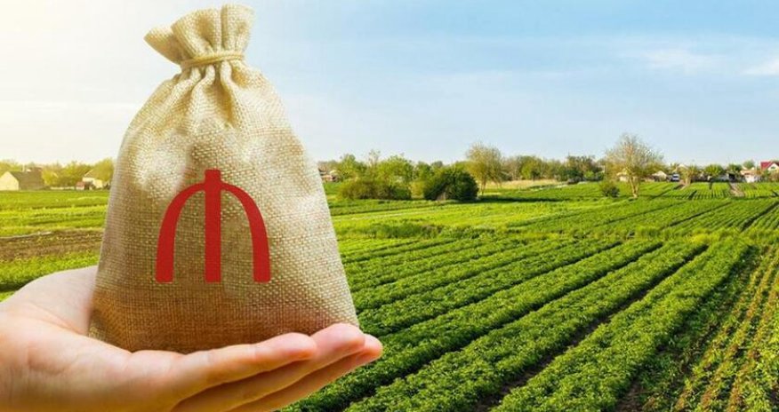 Azerbaijan’s agricultural output surpasses 10 billion manats in Jan–Aug 2026 Azerbaijan’s agricultural output surpasses 10 billion manats in Jan–Aug 2026