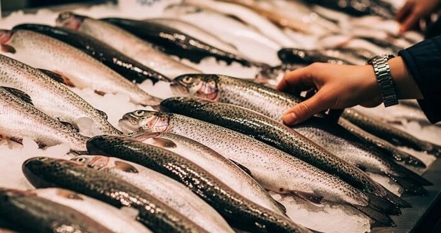 Россия продлила запрет на рыбу и молочку из Армении Россия продлила запрет на рыбу и молочку из Армении
