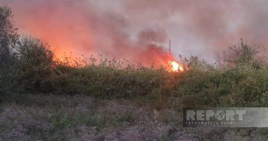 В Кюрдамире на площади более 10 га произошел сильный пожар - обновлено В Кюрдамире на площади более 10 га произошел сильный пожар - обновлено