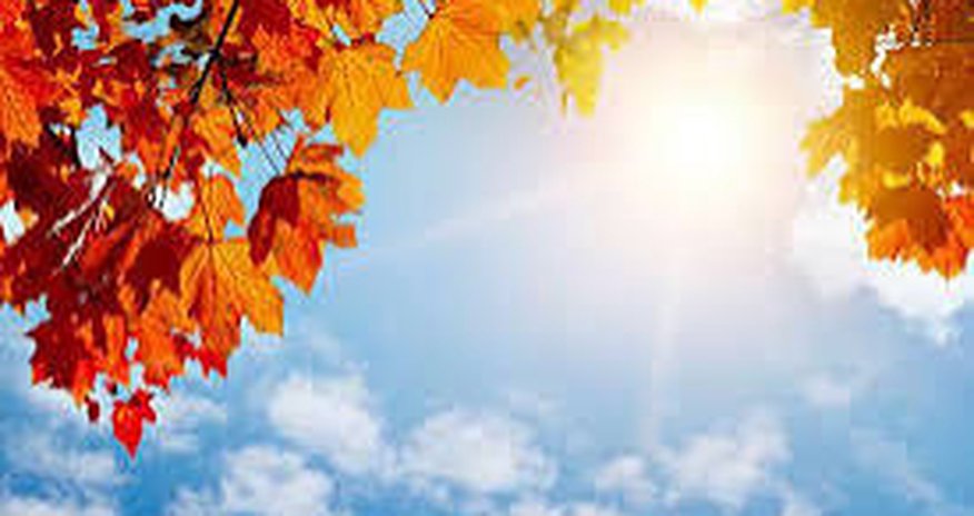 Температура в Баку завтра прогреется до 29°, в регионах Азербайджана - до 33° Температура в Баку завтра прогреется до 29°, в регионах Азербайджана - до 33°