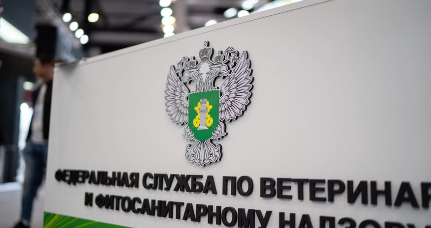 В Перми уничтожили более 230 кг продуктов из Азербайджана и Узбекистана В Перми уничтожили более 230 кг продуктов из Азербайджана и Узбекистана