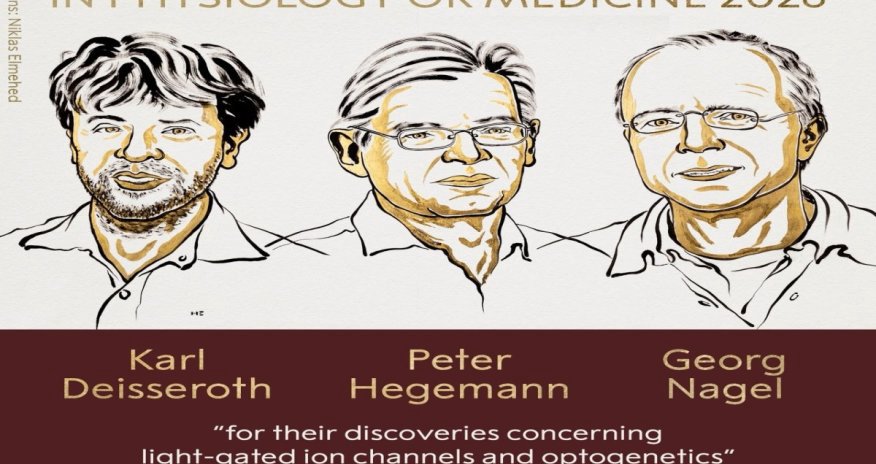 Nobel Prize in Physiology or Medicine 2026 awarded for optogenetics discoveries Nobel Prize in Physiology or Medicine 2026 awarded for optogenetics discoveries