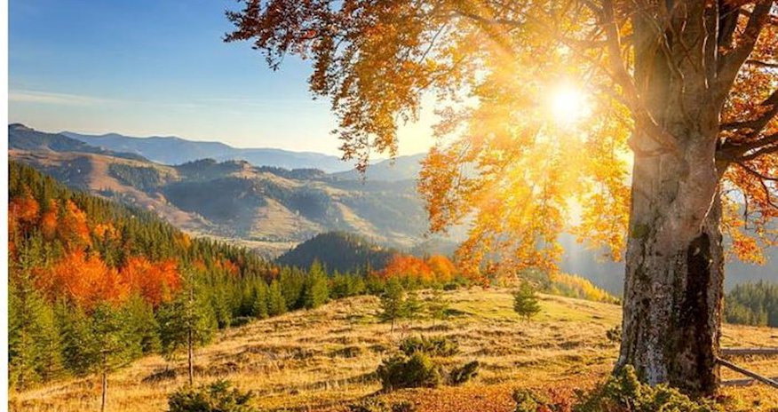 Sabahın hava proqnozu açıqlanıb Sabahın hava proqnozu açıqlanıb
