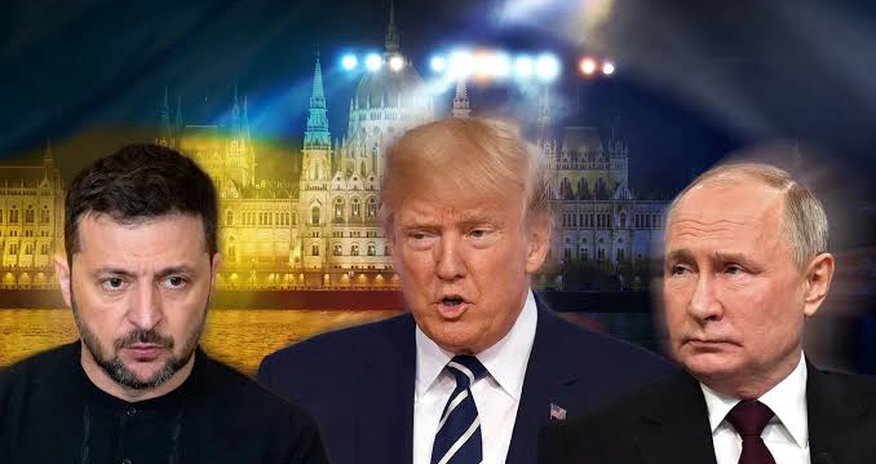США предложат Путину прямые переговоры с Трампом и Зеленским США предложат Путину прямые переговоры с Трампом и Зеленским